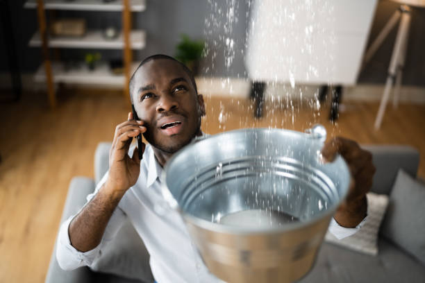 Best Water damage restoration near me  in Trail Creek, IN