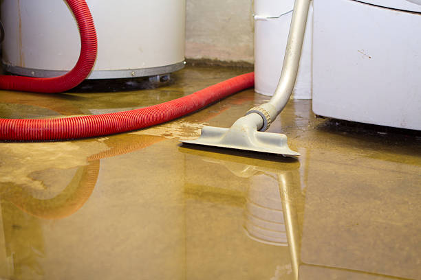 Best Basement water damage restoration  in Trail Creek, IN