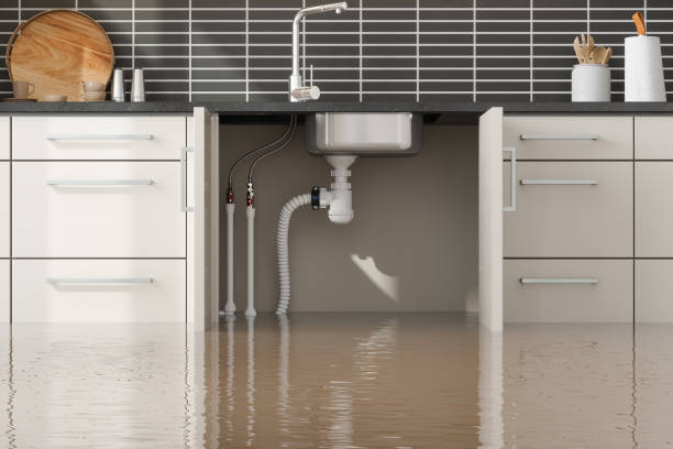 Best Commercial water damage restoration  in Trail Creek, IN