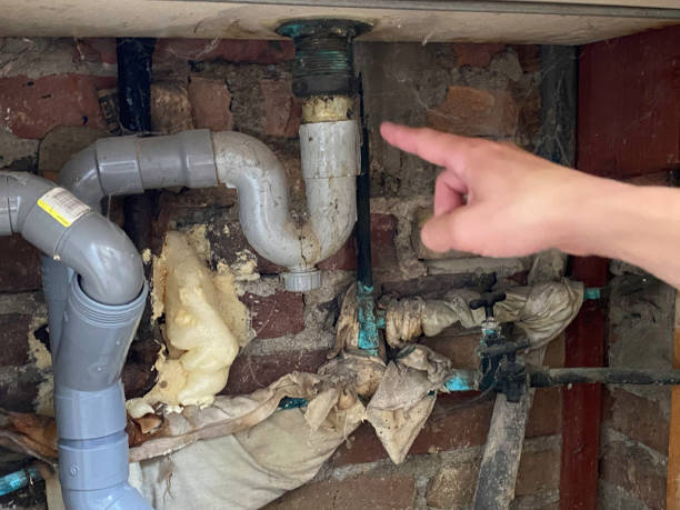 Best Mold removal after water damage  in Trail Creek, IN
