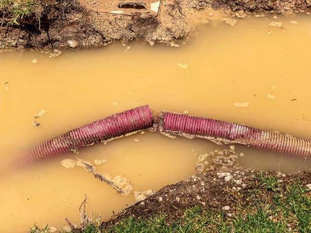 Best Water damage restoration near me  in Trail Creek, IN