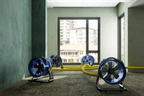 Best Water damage contractors near me  in Trail Creek, IN