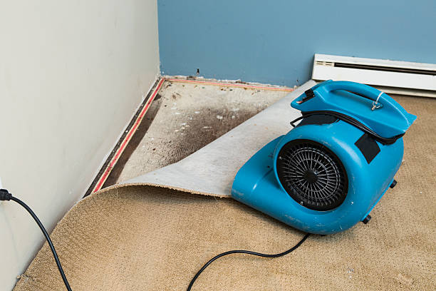Water damage restoration insurance claims in Trail Creek, IN